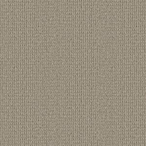 tan in stock carpet